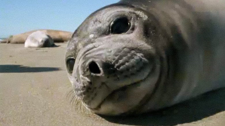 Still image for Trials of Life season 1 episode 2: Growing Up Still image for Trials of Life season 1 episode 2: Growing Up