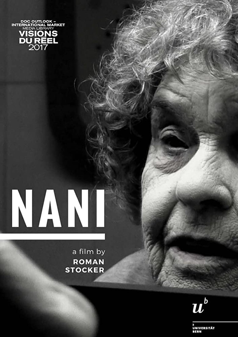 Nani main poster