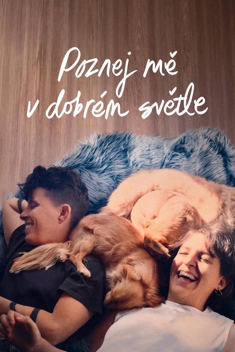 Plakát k filmu Poznej mě v dobrém světle