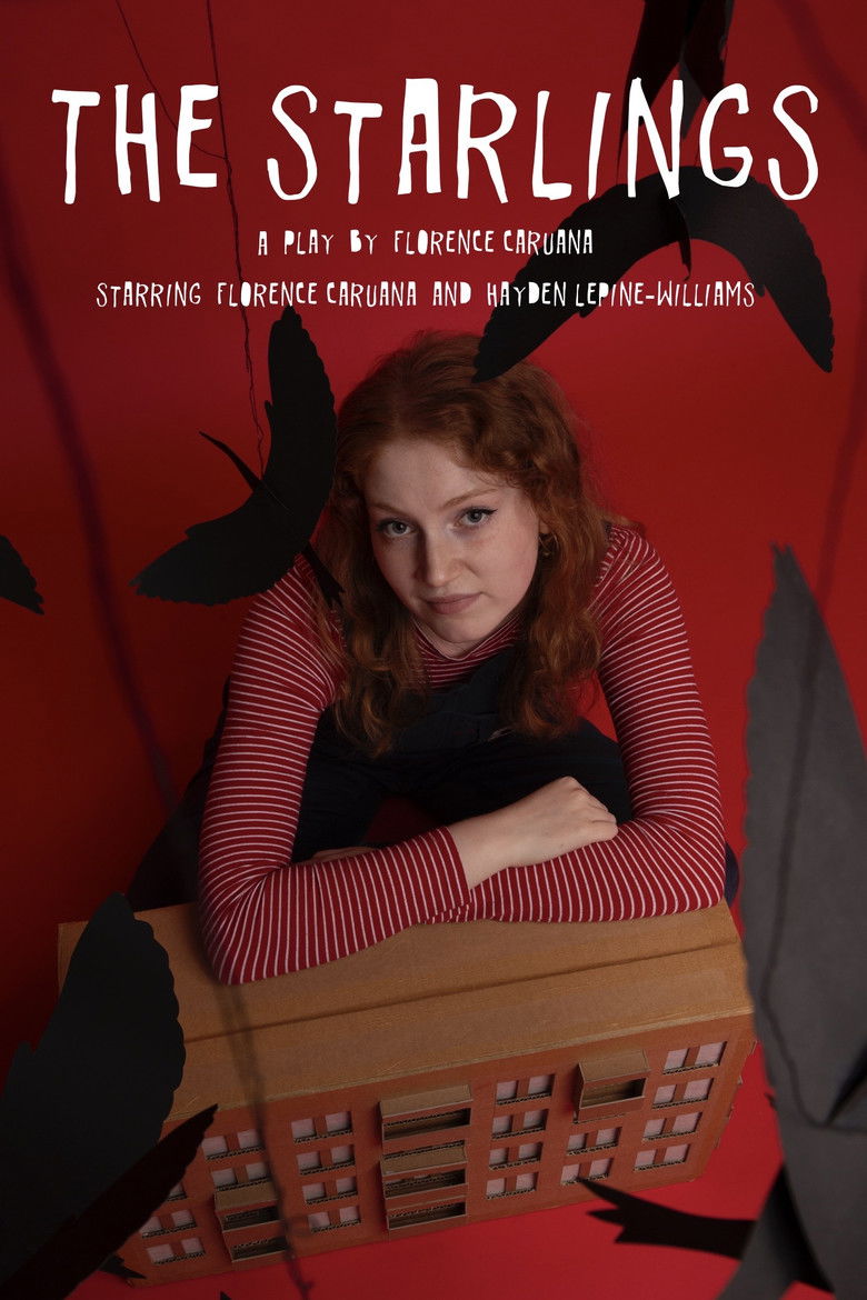 Imatge de The Starlings