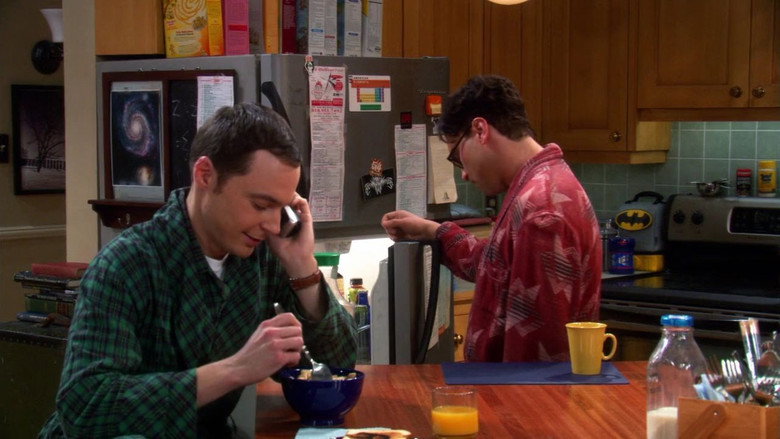 Série The Big Bang Theory Saison 4 épisode 15 en streaming VF et VOSTFR