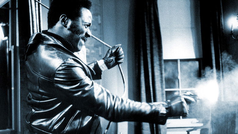 Backdrop de Shaft Collection