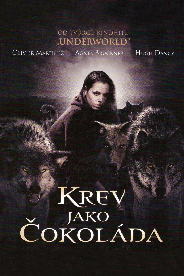 Plakát k filmu Krev jako čokoláda