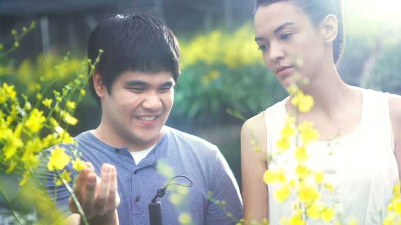 Image d'arrière-plan 4 du film Touch of the light