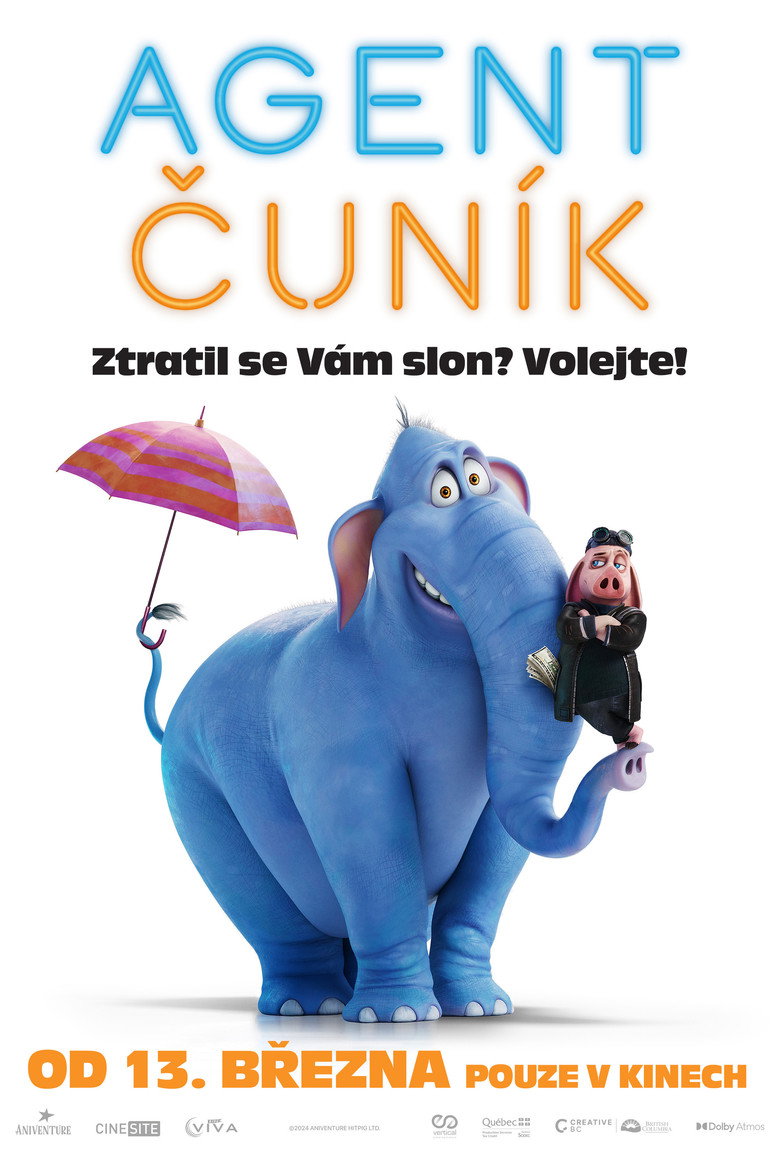 Agent Čun&iacute;k (2024)
