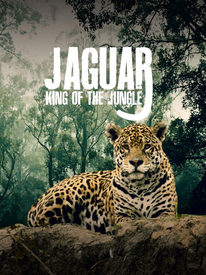 Imatge de Jaguar: King of the Jungle