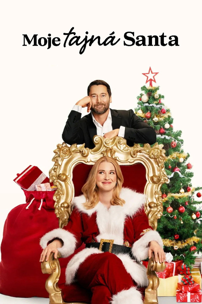 Plakát k filmu Moje tajná Santa