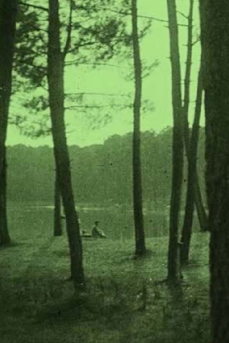 Biarritz y sus alrededores (1922)
