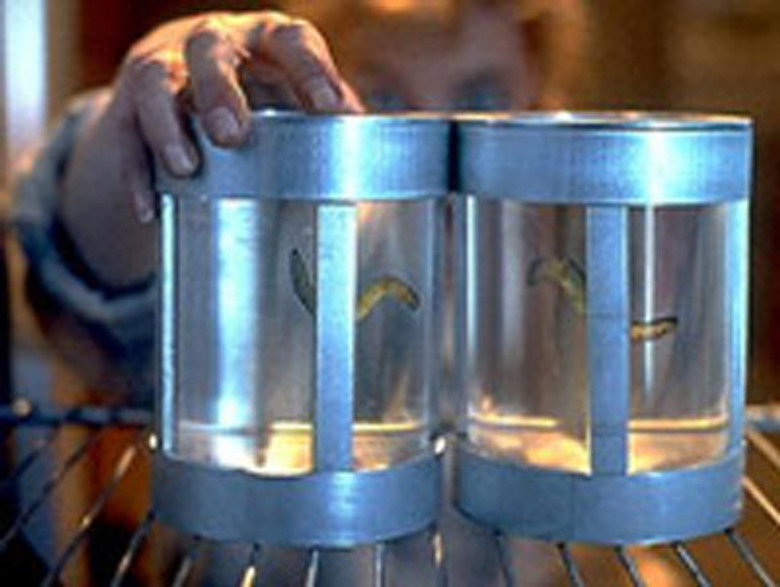 The X-Files S01E08 — Ice episode still