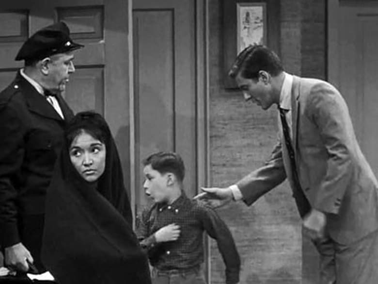 The Dick Van Dyke Show Season 3 Episode 11