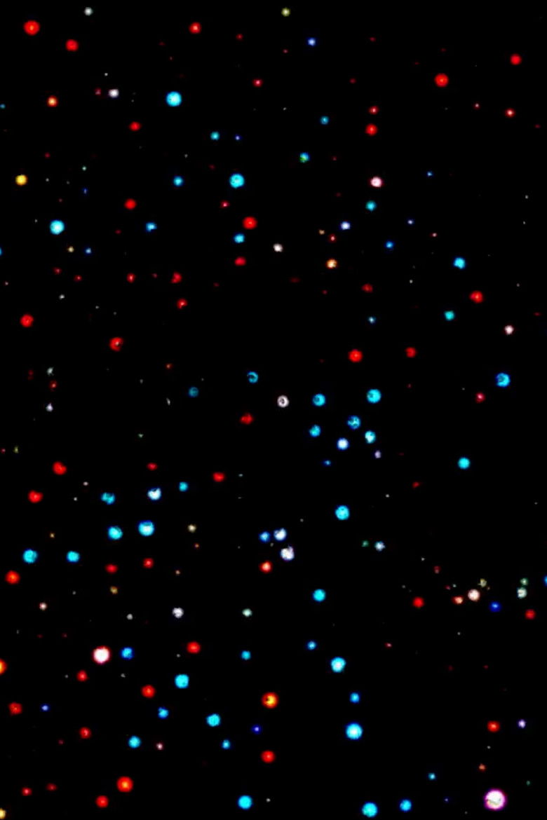 Imatge de There must be some kind of way out of here