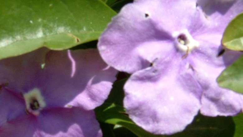 Gallery image from myuzgZUUWwH3Ne6QMlcVYSpjngS.jpg