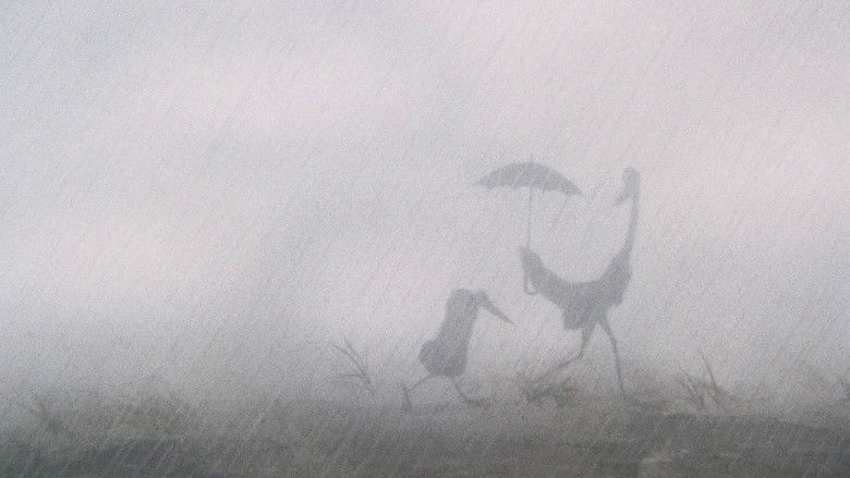 The Heron and the Crane backdrop 6