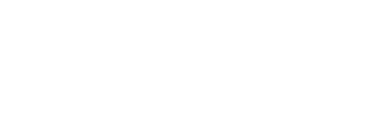 License to Drive