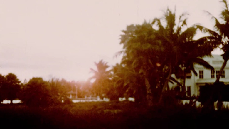 Gallery image from n0rHJFNuugj8SKAbw3wkeIWloK4.jpg