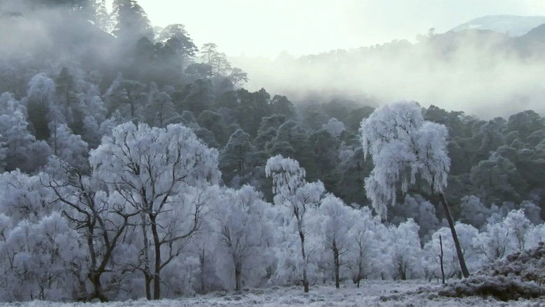 Still image for Wild Kingdom season 1 episode 4: Episode 4