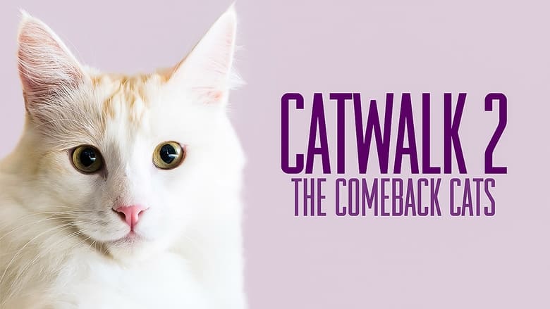 Catwalk 2: The Comeback Cats 2022 Soap2Day