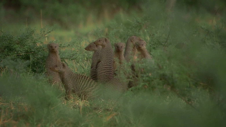 Home Today, Gone Tomorrow