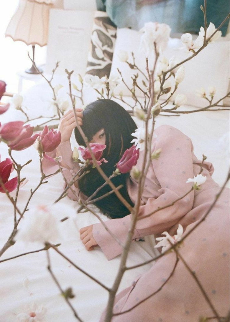 Imatge de マホロボシヤ