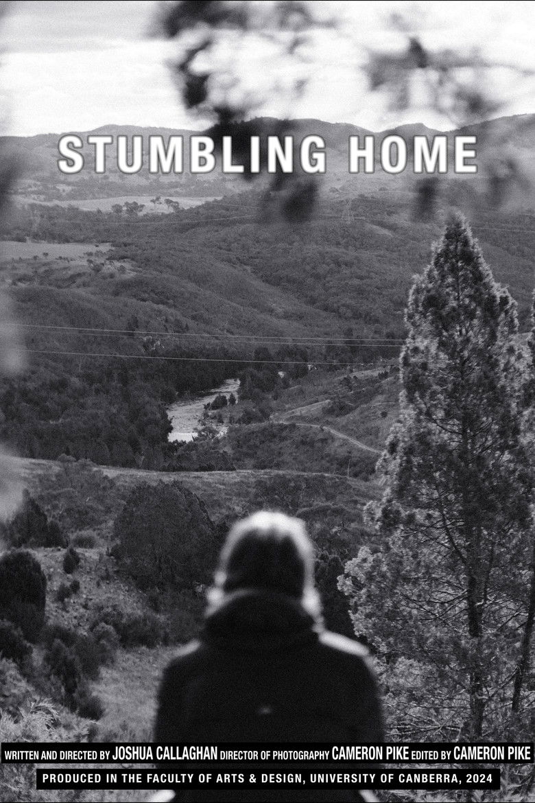Imatge de Stumbling Home