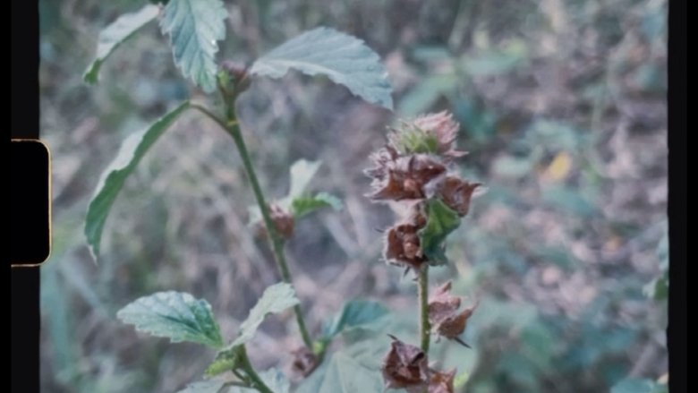 Gallery image from n3MqOkq36SD2YDo8ZHTSNgc6CxG.jpg