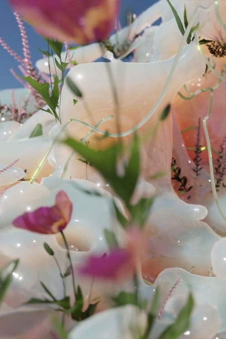 Imatge de Plane of Incidence I