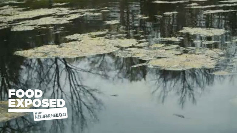 Still image for Food Exposed with Nelufar Hedayat season 1 episode 4: Water