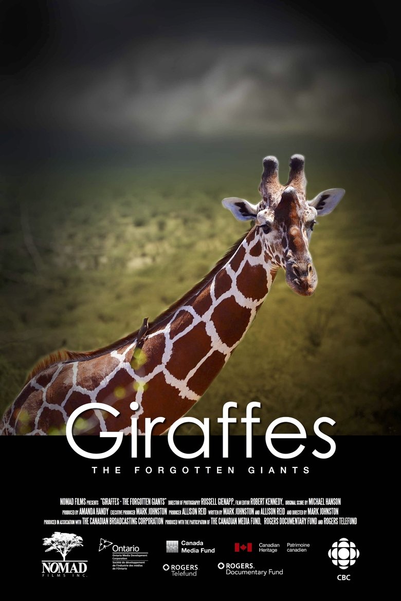 Giraffes: The Forgotten Giants main poster