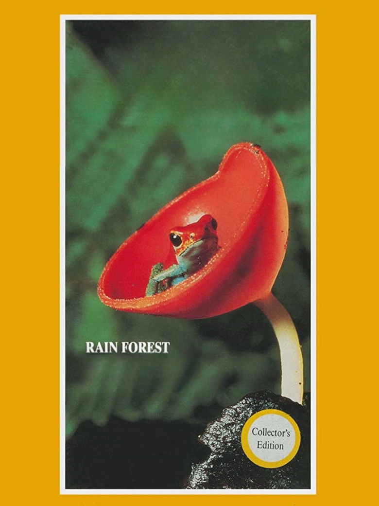 Imatge de Rain Forest