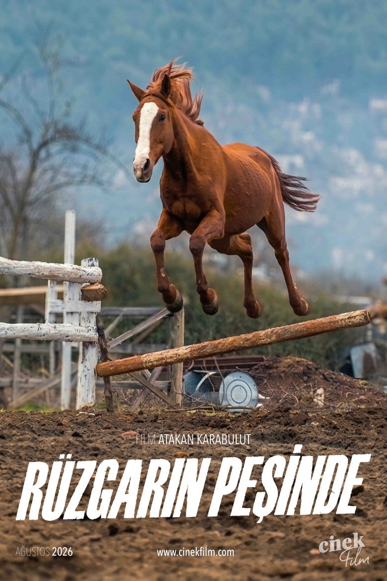 Imatge de Rüzgarın Peşinde