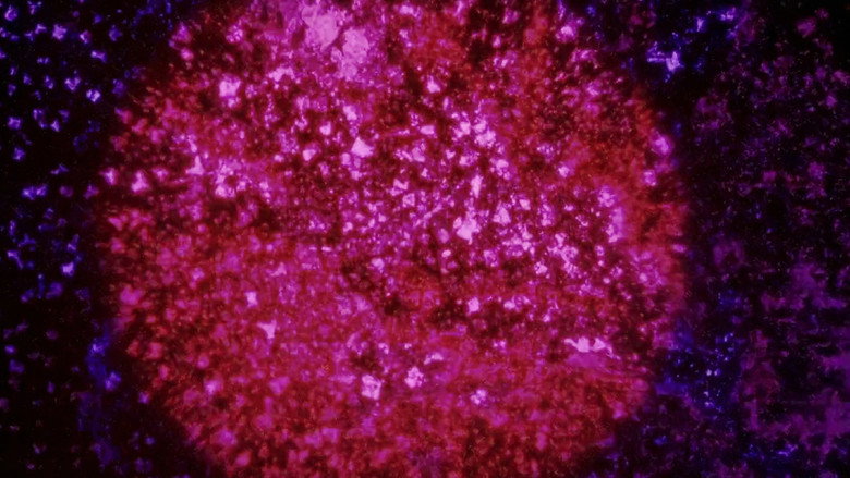 Imatge de Instabile Materie