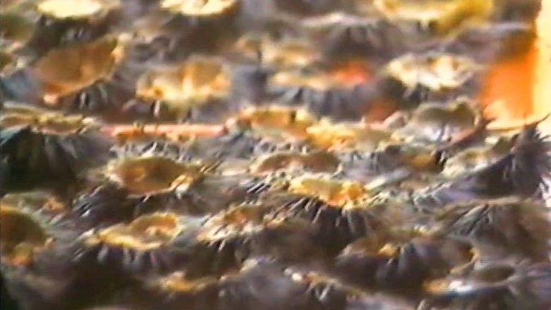 Imatge de Coin de cuisine