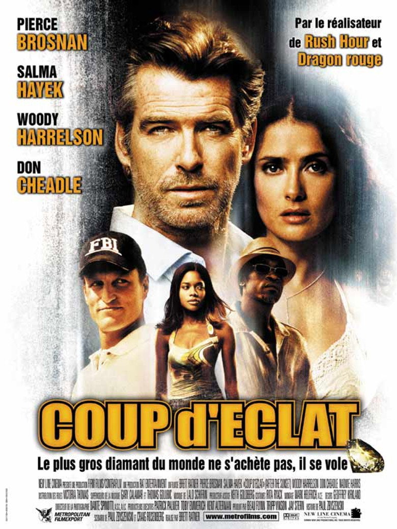 Póster la Película
