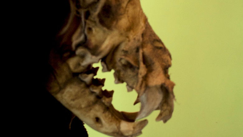 Image d'arrière-plan 1 du film Painting of a Dog