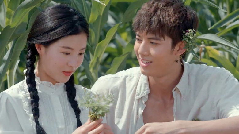 Still image for Nanfan Family season 1 episode 8: Episode 8