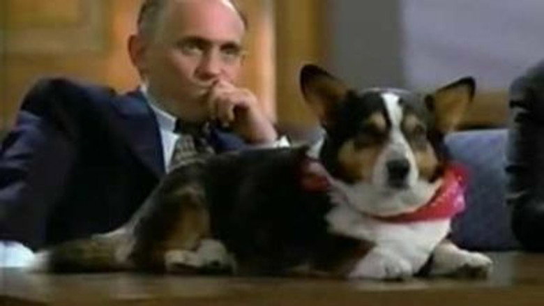 Still from L.A. Law - Season 8 Episode 19