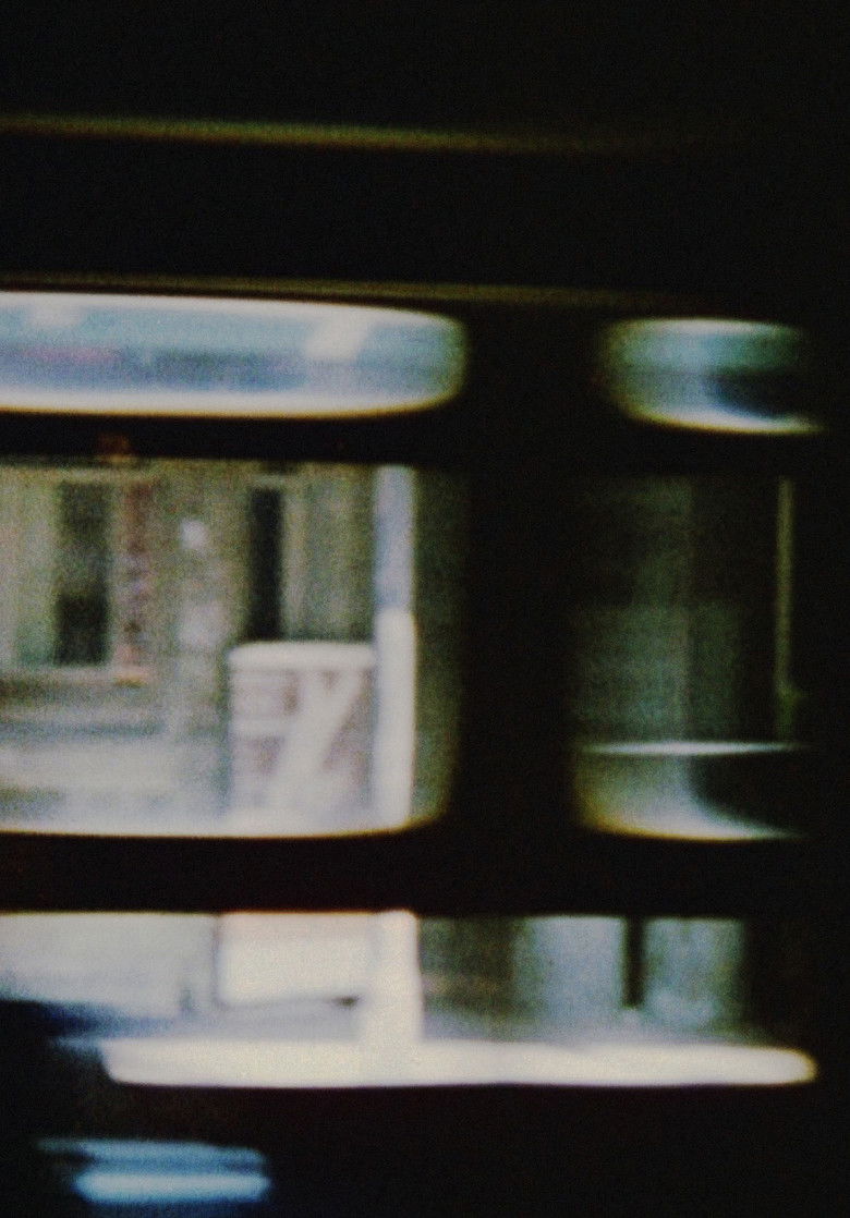 Imatge de The Wonder Ring