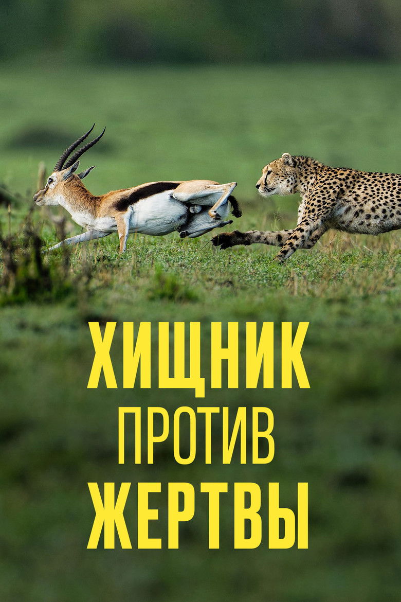 Хищник против жертвы