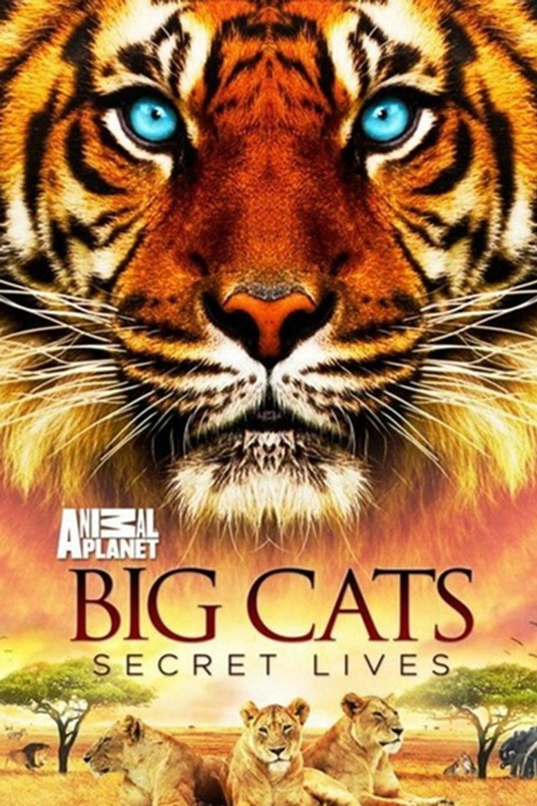 Affiche de BIG CATS: SECRET LIVES