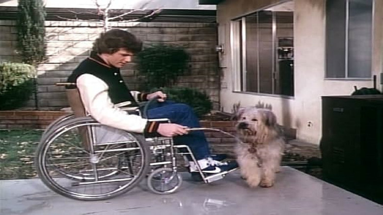 Still image for Here's Boomer season 1 episode 11: Boomer and the bucketeers