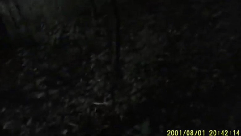 Imatge de The Wendigo