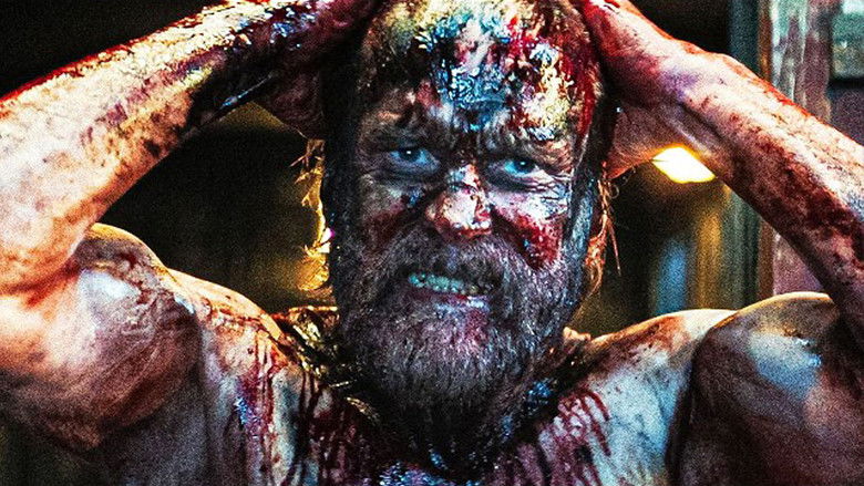 Backdrop de Sisu Collection