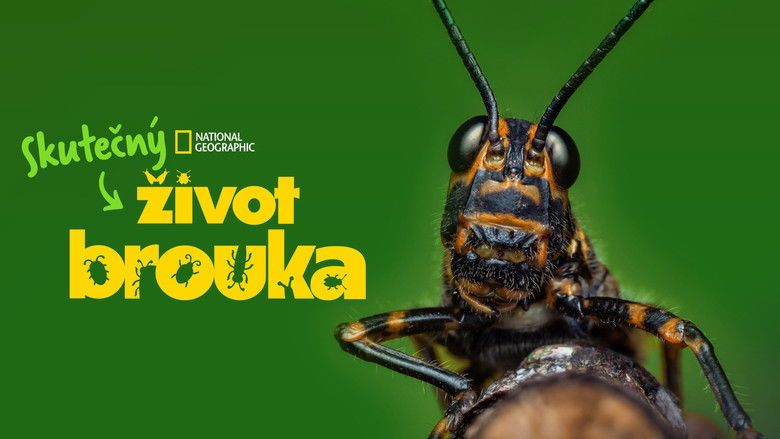 Gallery image from n8oAa2Q4szNsYwny2s2dR4q6Tby.jpg