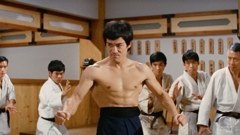 Fist of Fury Collection en streaming