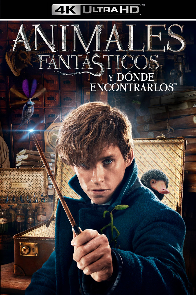 Póster la Película