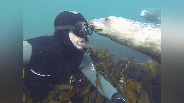 Still image for My Best Friend's An Animal season 1 episode 6: Jasper, Terry, and Gumbo