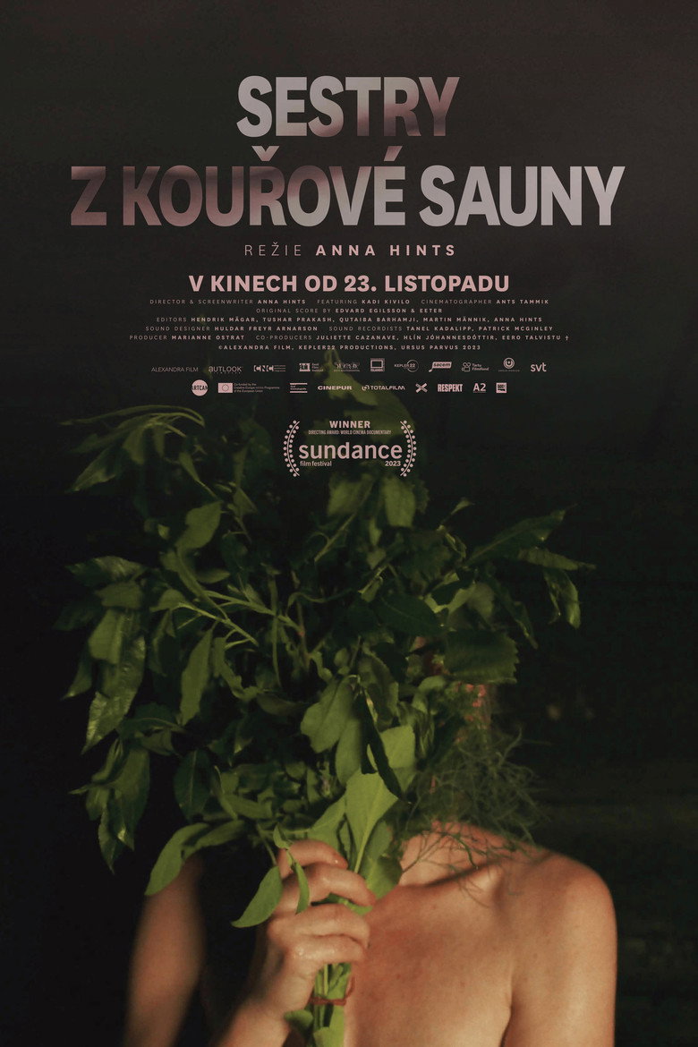 Plakát k filmu Sestry z kouřové sauny