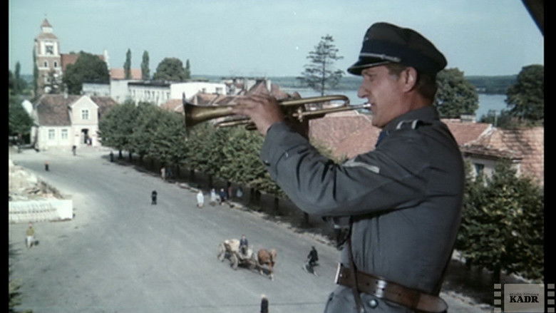 Gallery image from nBRUSP2TjmjxjgisTgrENYlEs3u.jpg