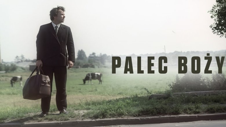 Gallery image from nBqWBN9xsEH0Q4tQZwNG3elAXOm.jpg