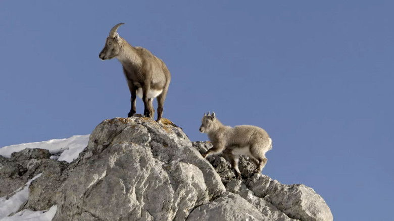 Gallery image from nCOcC7NabvLcB0rOlJnMAvs0x8d.jpg